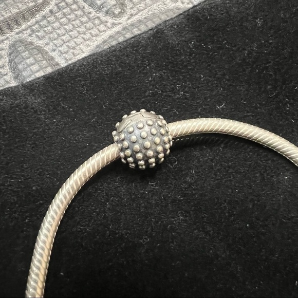 PANDORA | Starter Bracelet + 2 Clip-on Charms - Picture 2 of 4